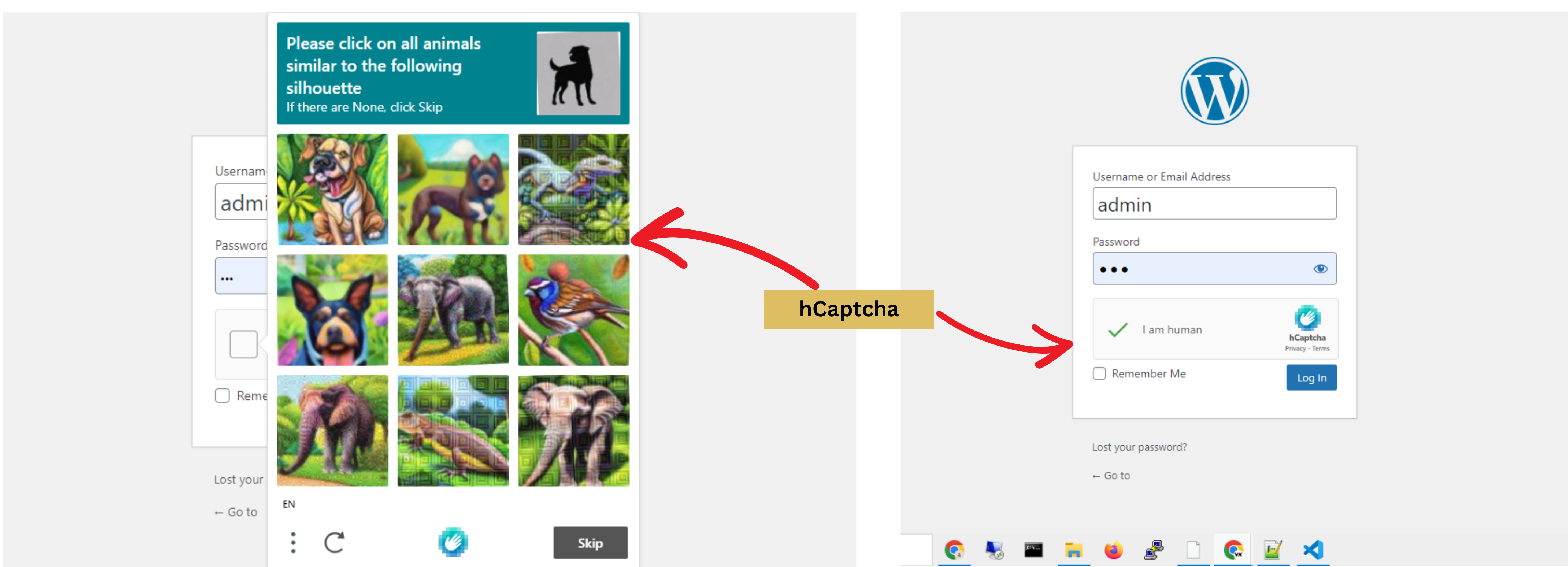hCaptcha hCaptcha